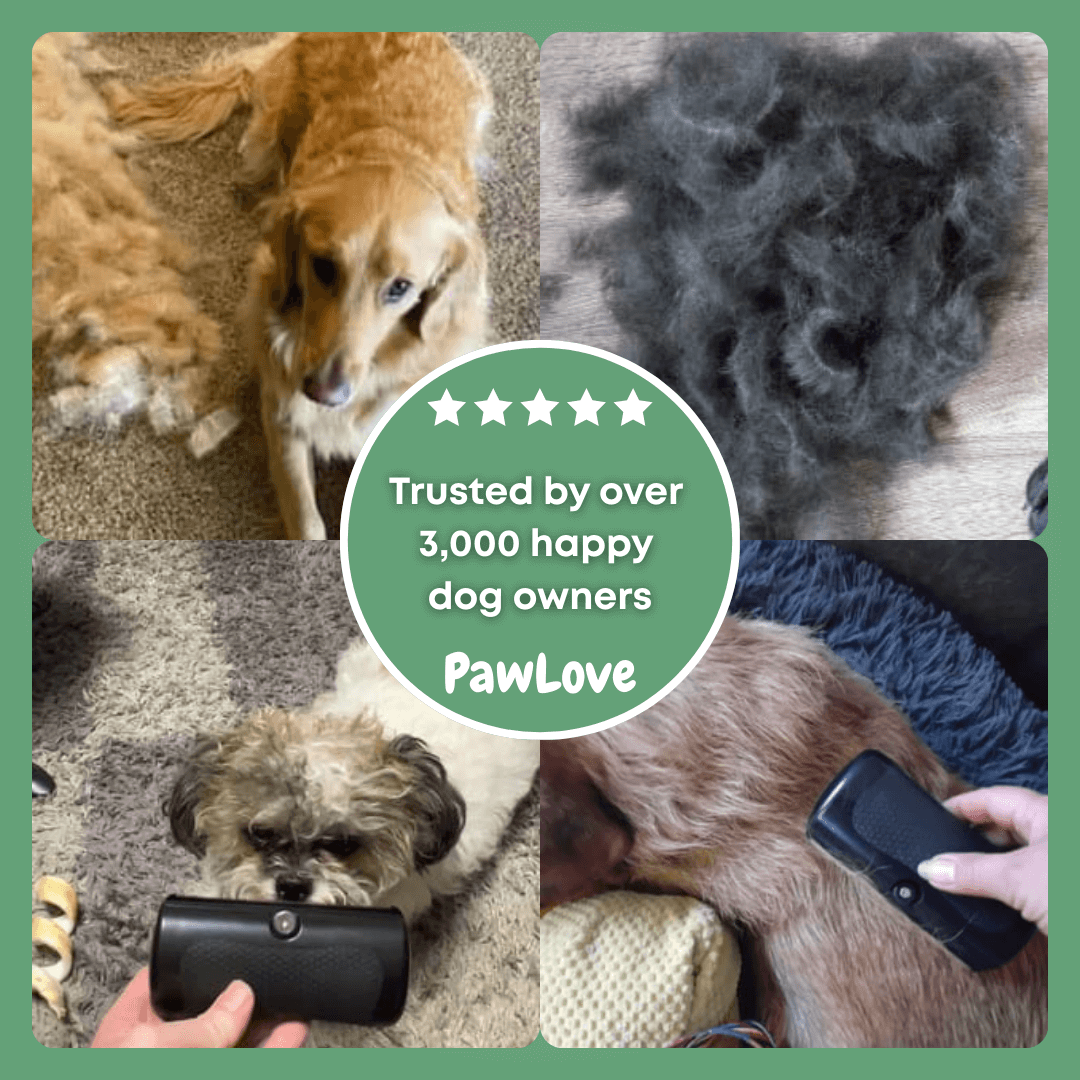Paw Love™ - Magic Fur Brush