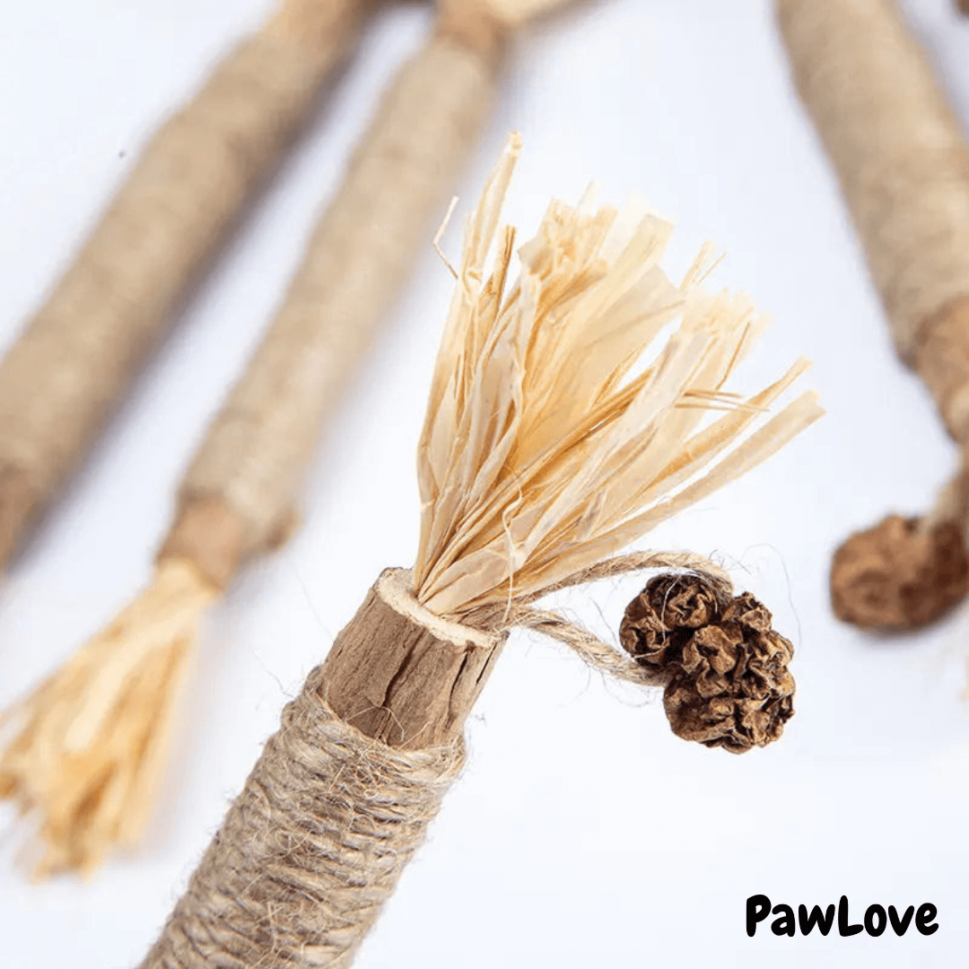 PawLove™ - Kitty Dental Chew Stick No end of fun!