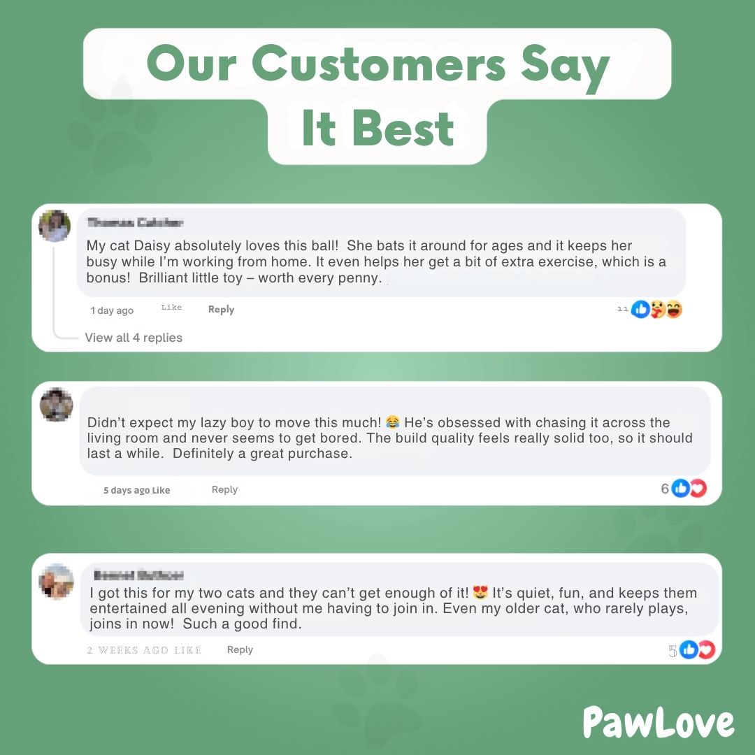PawLove™ - Interactive Cat Ball with Tail