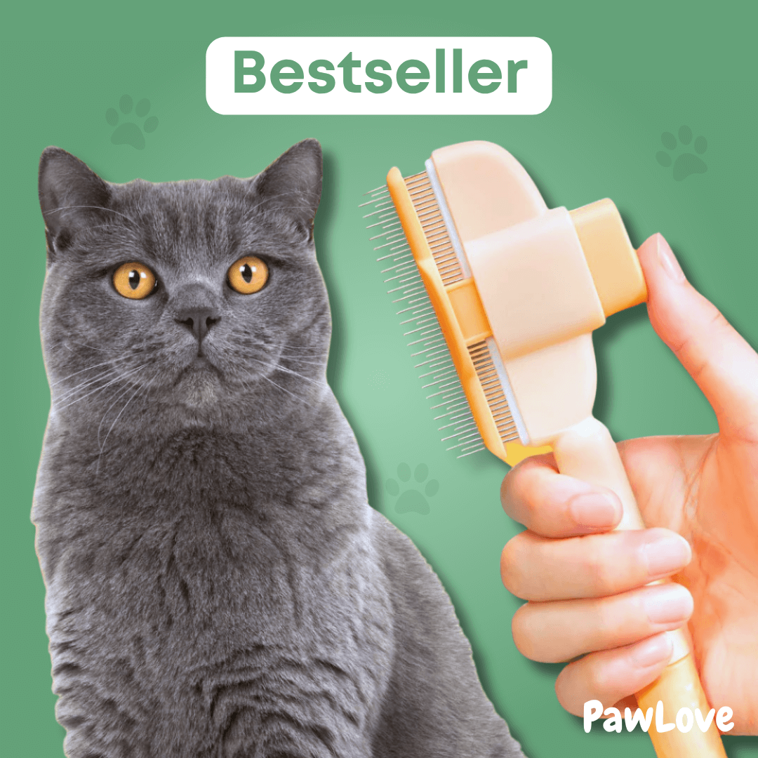 PawLove™ - One Click Detangling Brush