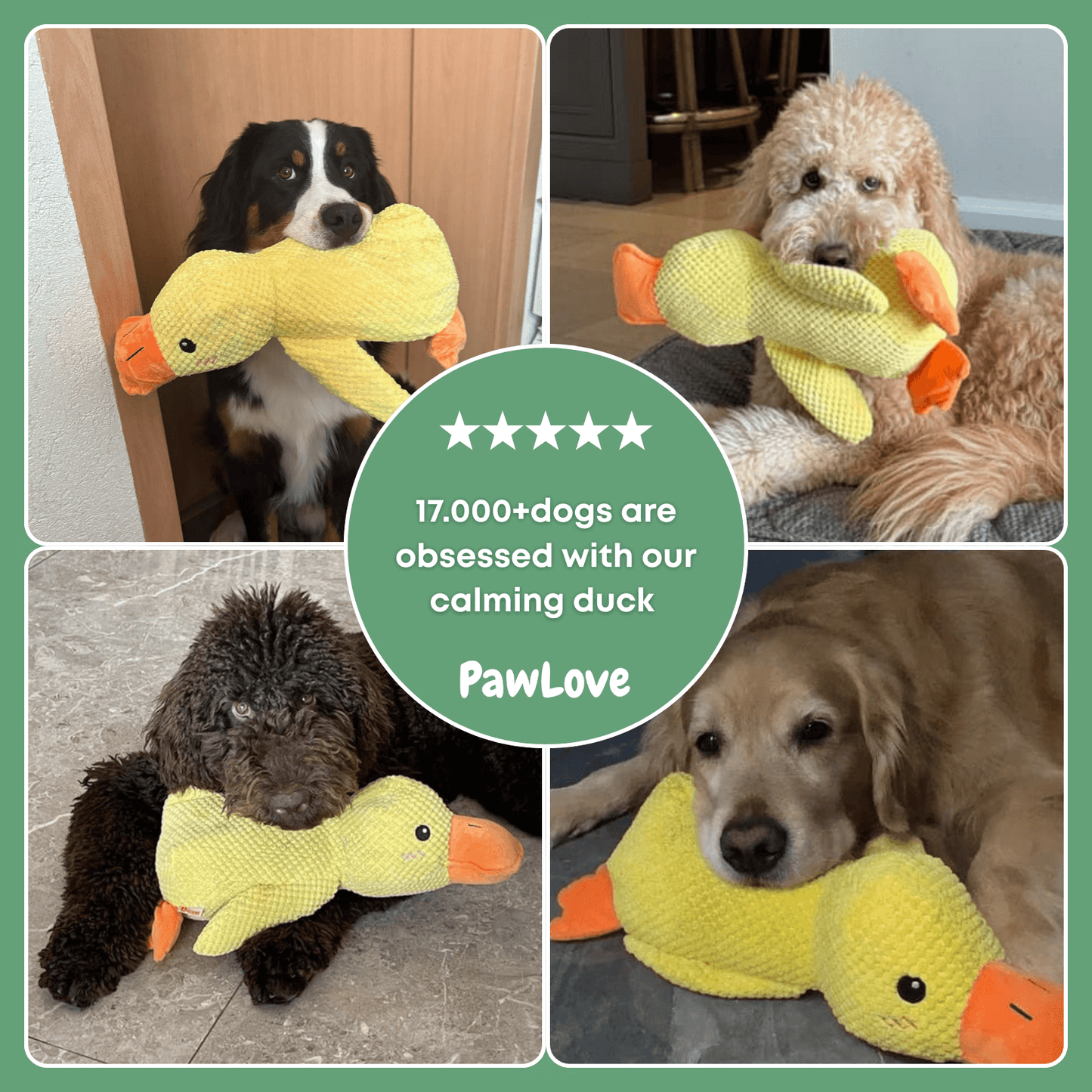 Paw Love - Calming Duck