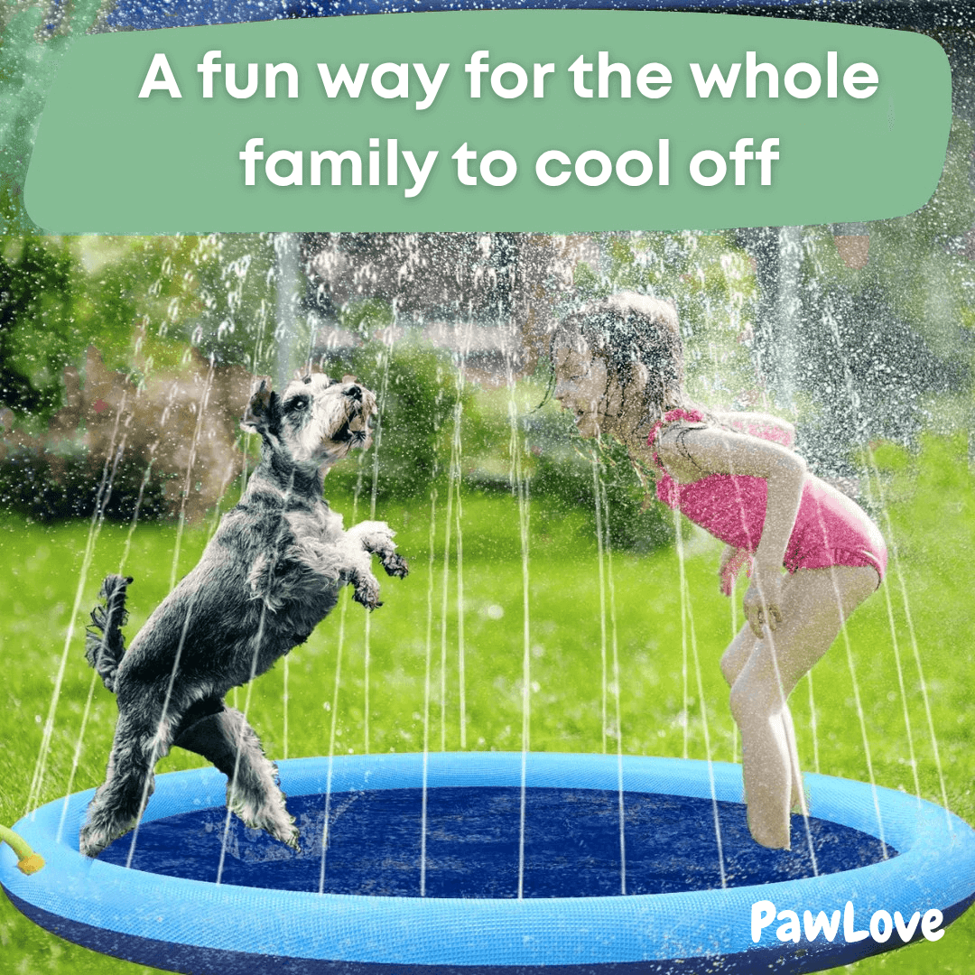 PawLove™ - SplashPad