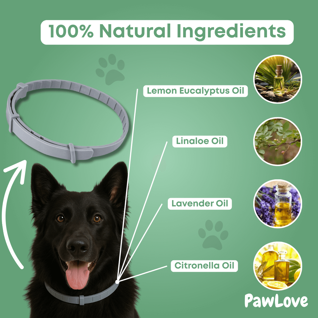 PawLove™ - Natural tick and flea protection collar