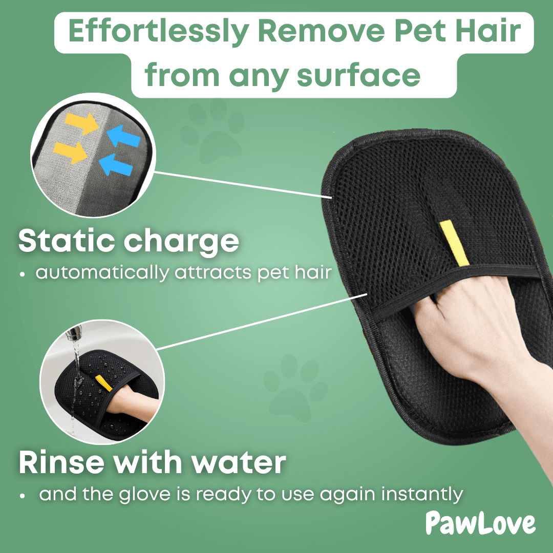 PawLove™ - FurMagnet