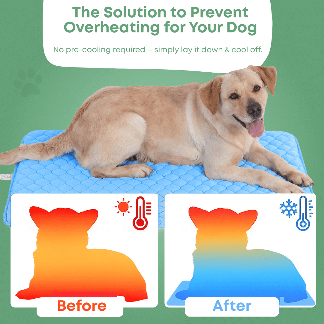 PawLove™ - Dog cooling mat