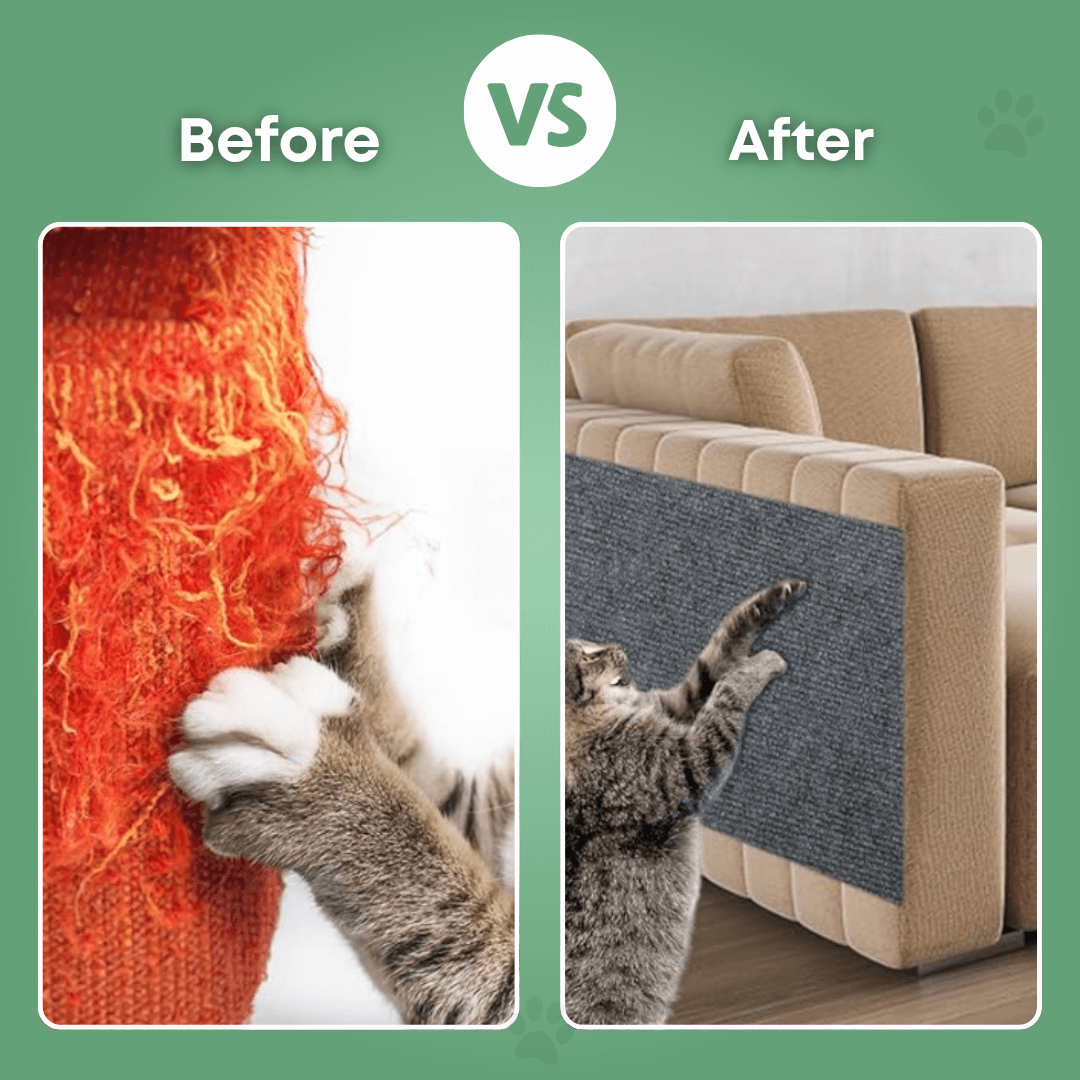 PawLove - Universal Cat Scratch Guard