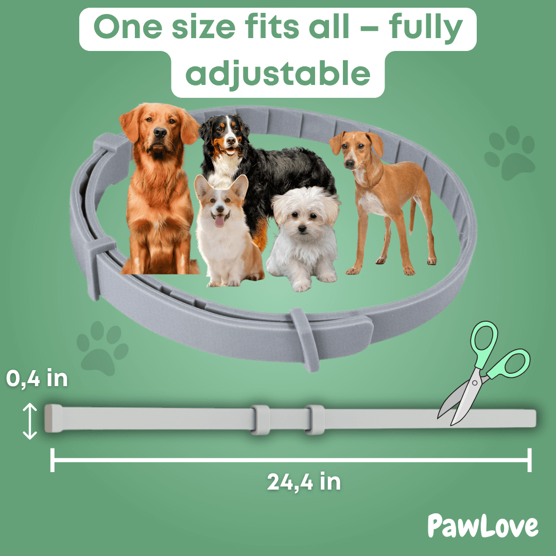 PawLove™ - Natural tick and flea protection collar