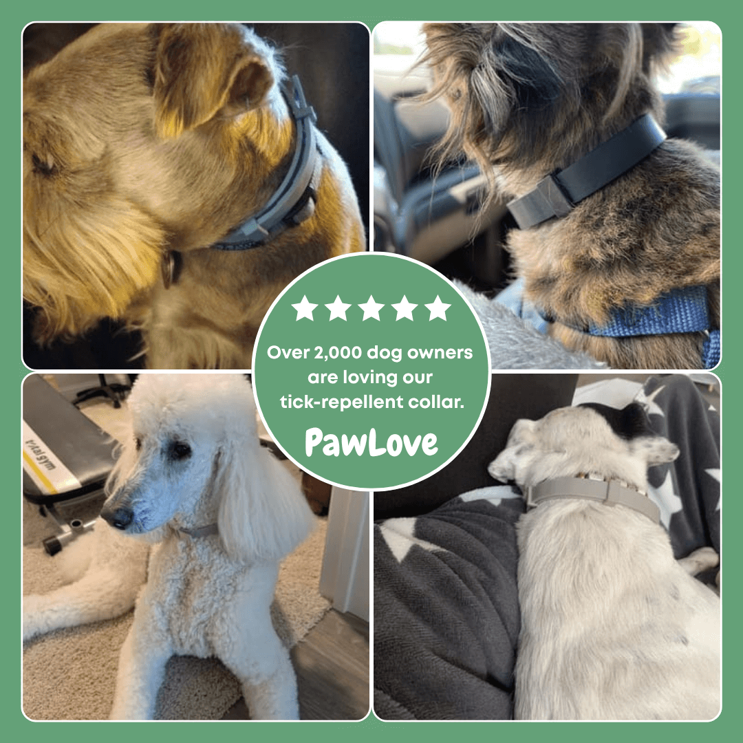 PawLove™ - Natural tick and flea protection collar