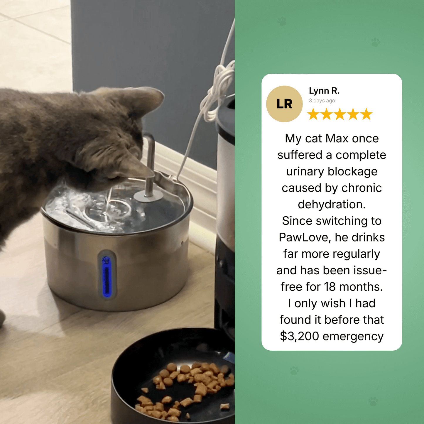 PawLove - Cat Water Fountain I