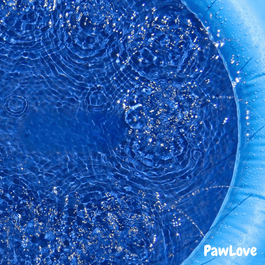 PawLove™ - SplashPad