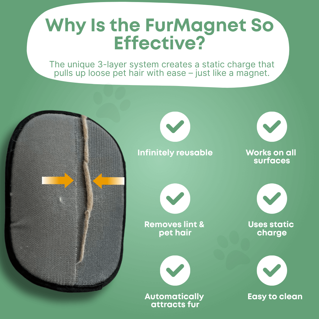 PawLove™ - FurMagnet
