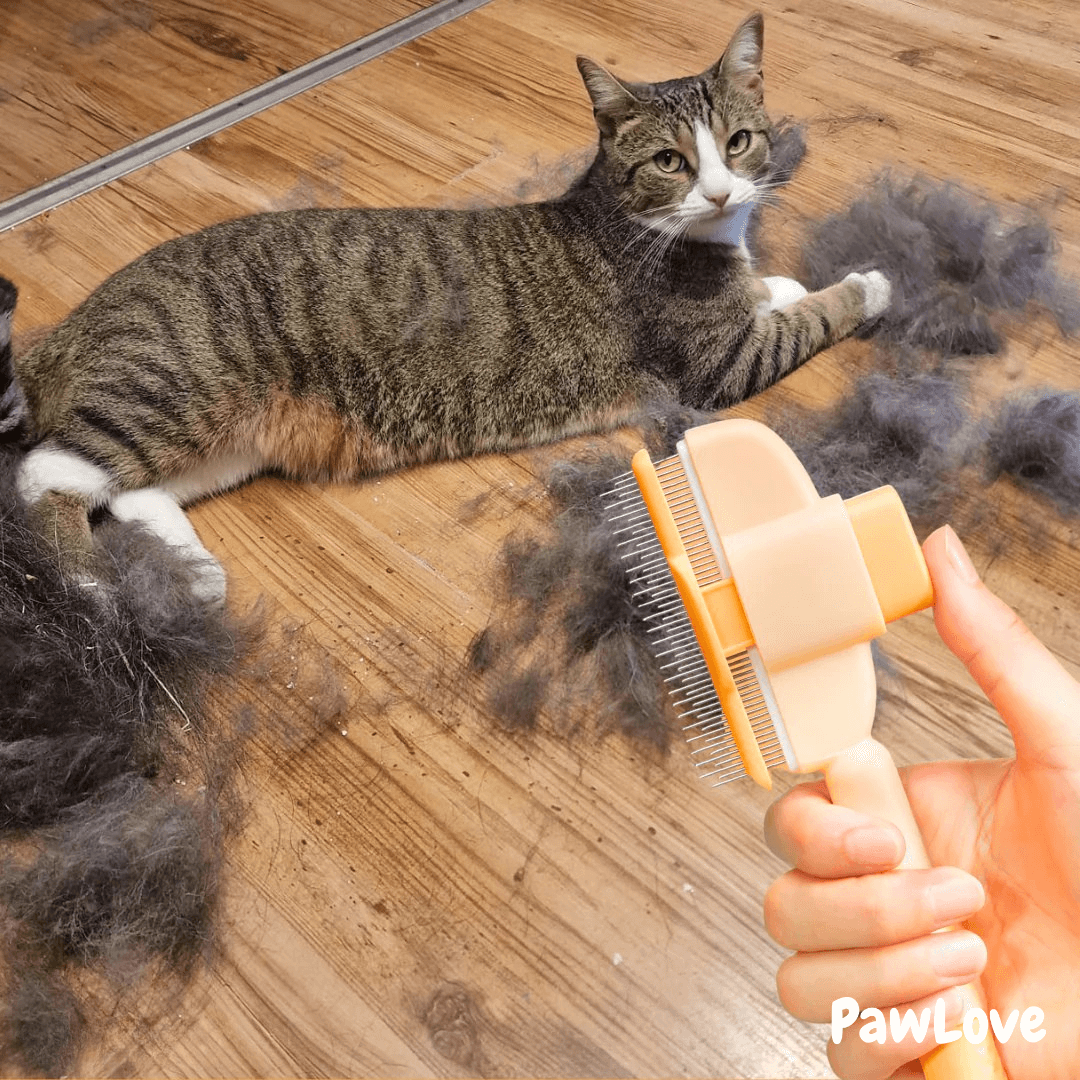 PawLove™ - One Click Detangling Brush