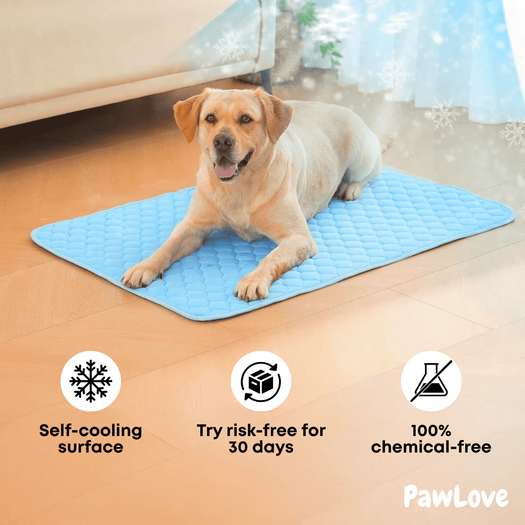 PawLove™ - Dog cooling mat