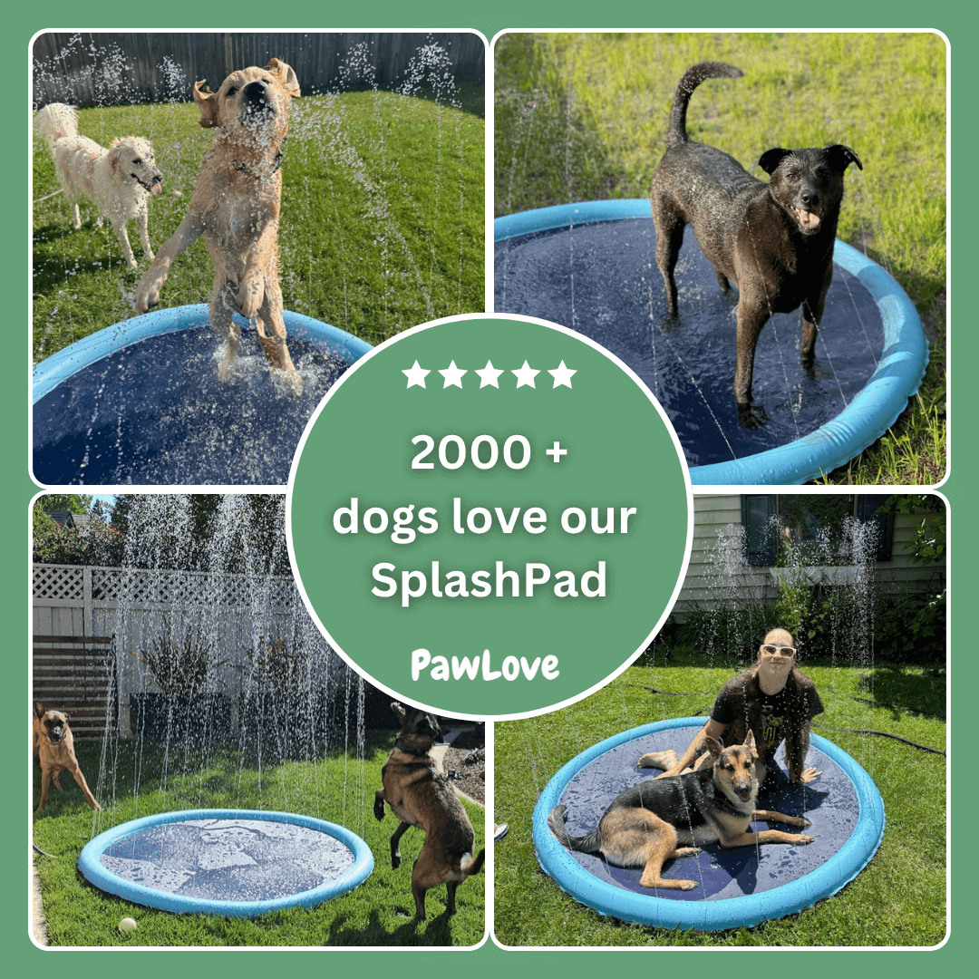 PawLove™ - SplashPad