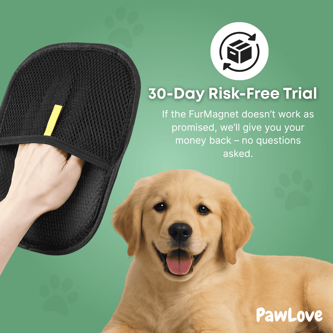 PawLove™ - FurMagnet