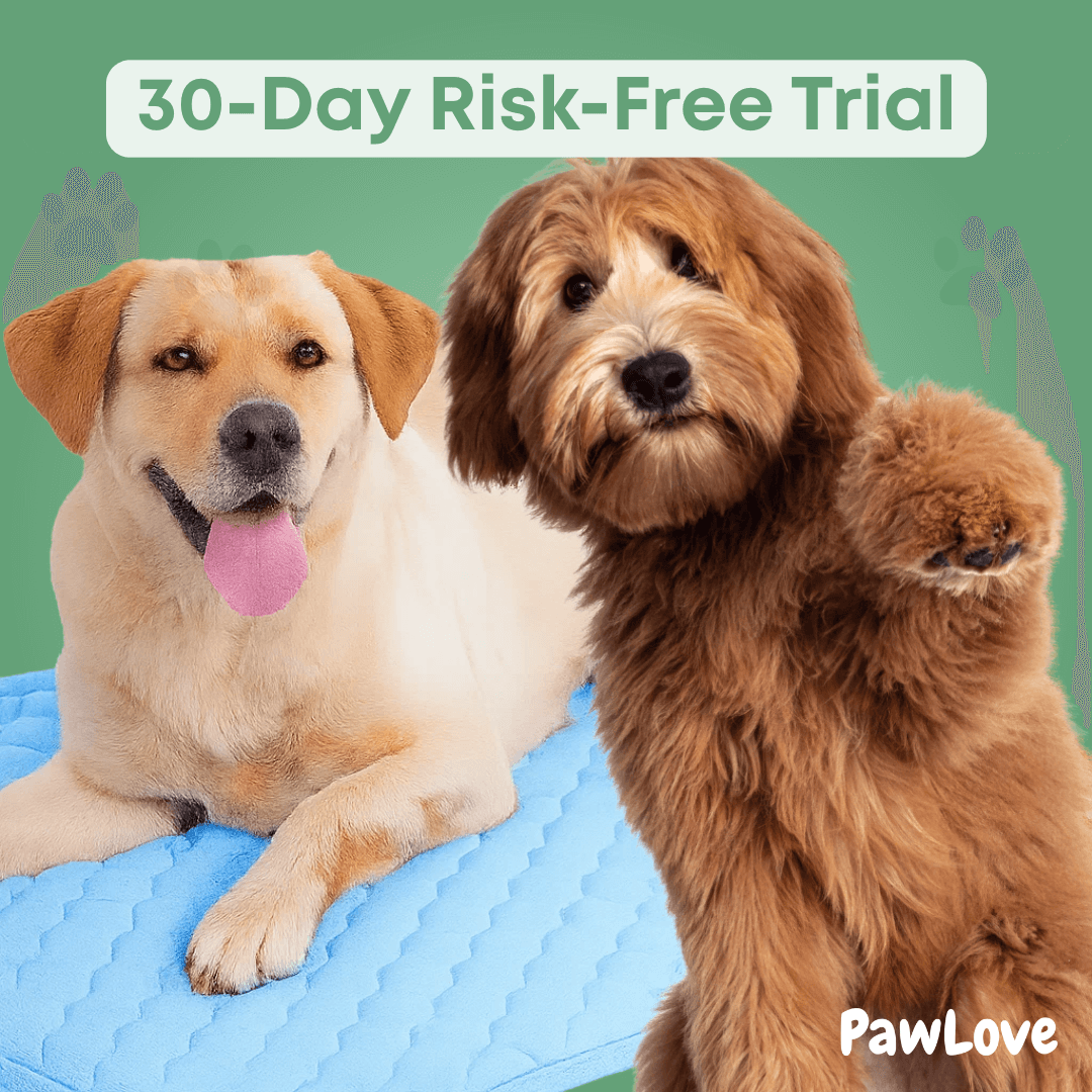 PawLove™ - Dog cooling mat