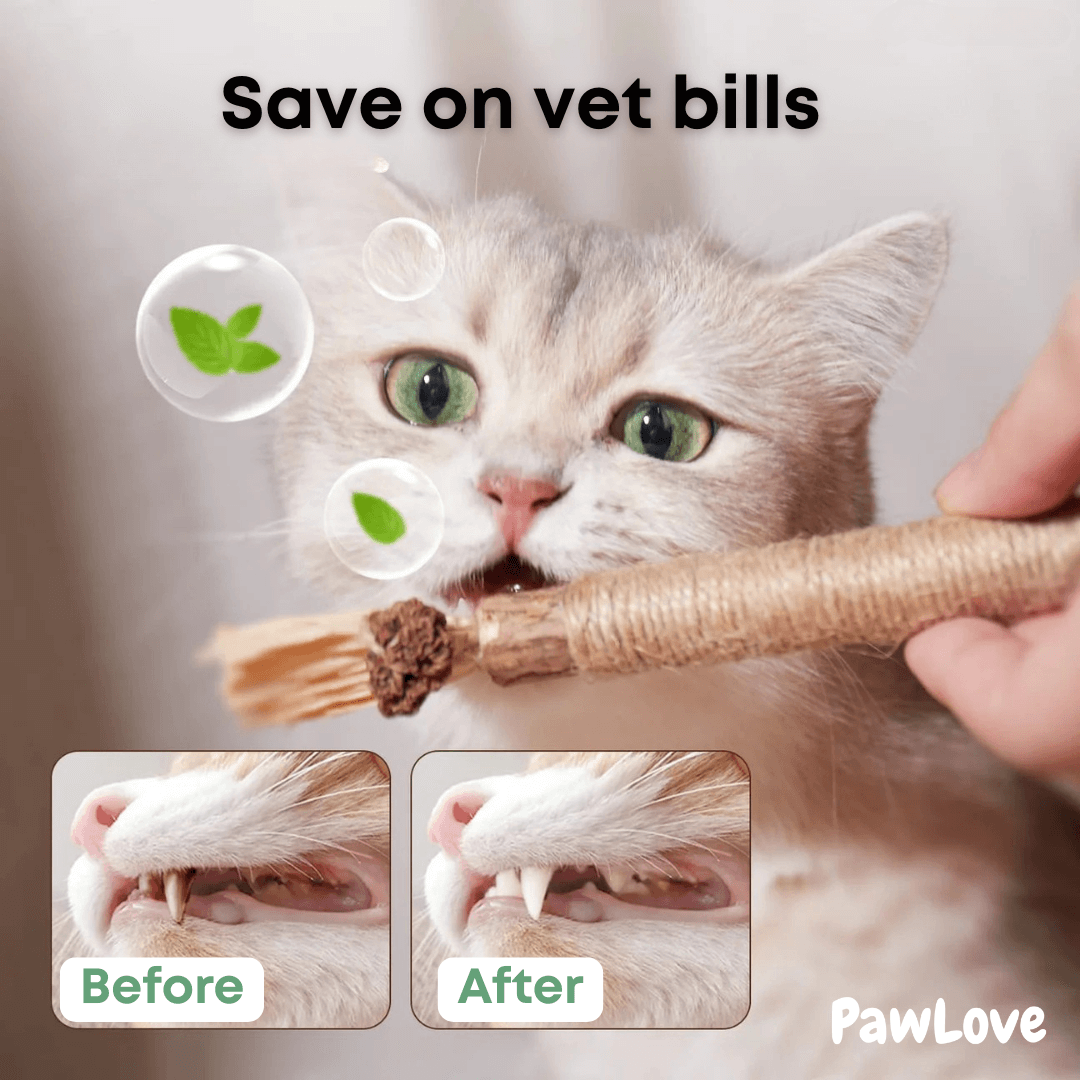 PawLove™ - Kitty Dental Chew Stick No end of fun!