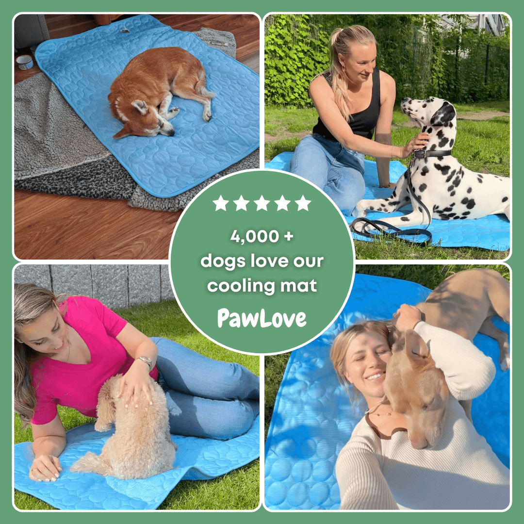 PawLove™ - Dog cooling mat