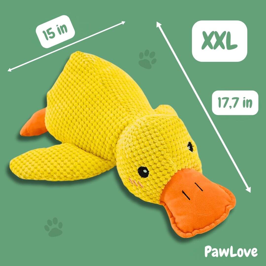Paw Love™ - Calming Duck