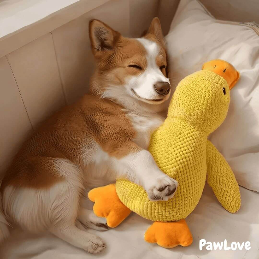 Paw Love™ - Calming Duck