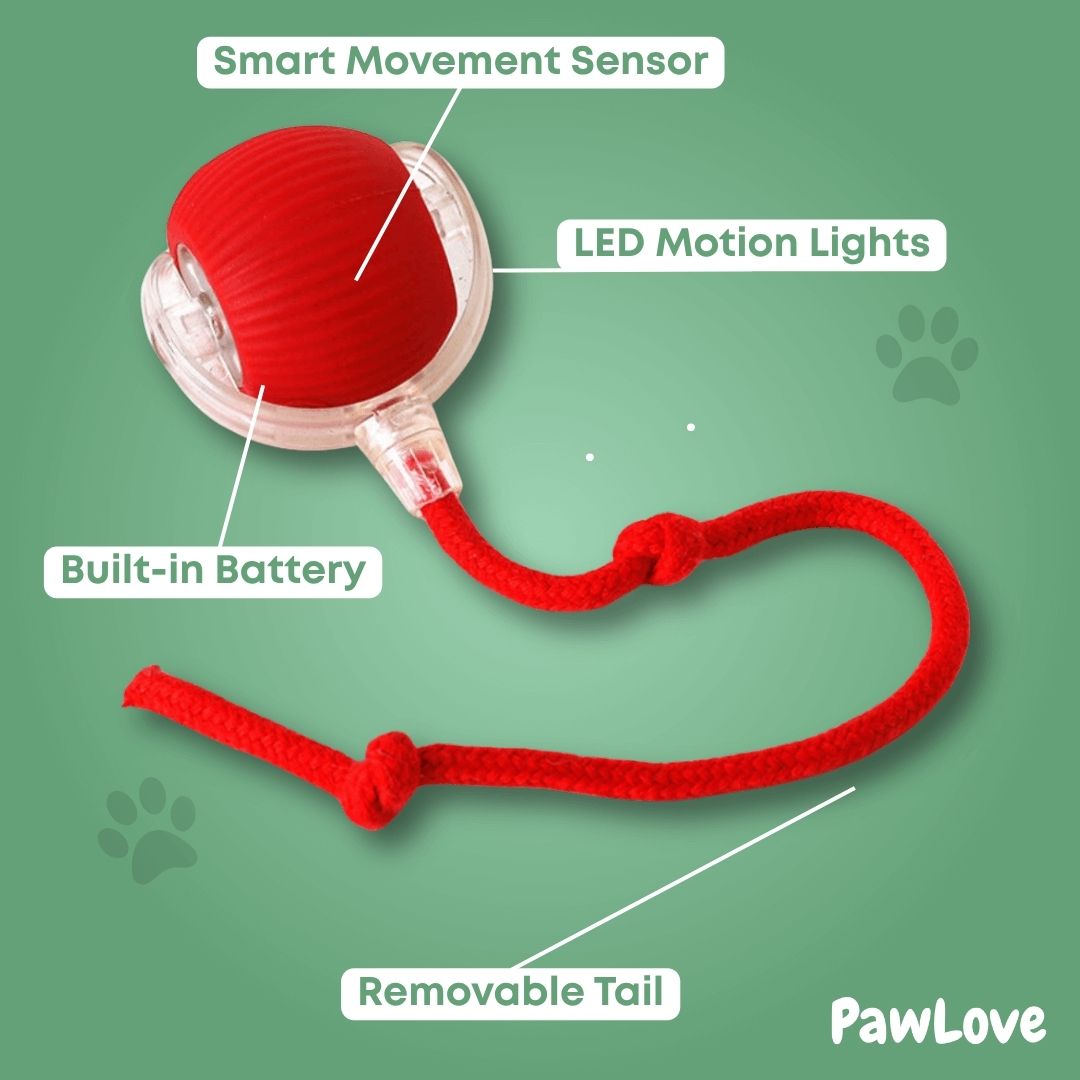 PawLove™ - Interactive Cat Ball with Tail