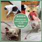 PawLove™ - Interactive cat ball