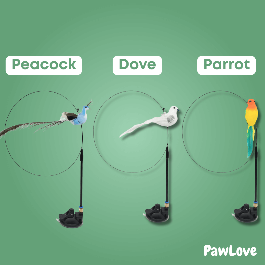 PawLove™ - Interactive Bird Simulation