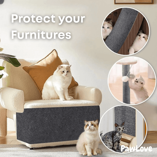 PawLove - Universal Cat Scratch Guard