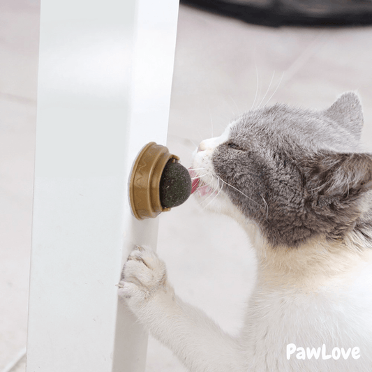 PawLove™ - Catnip