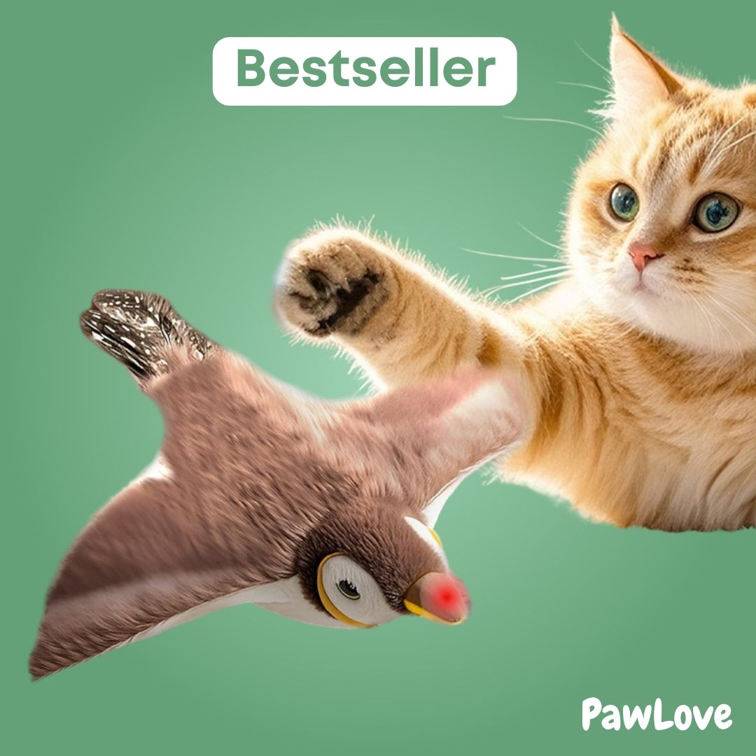 PawLove™ - Birdie Chase Toy