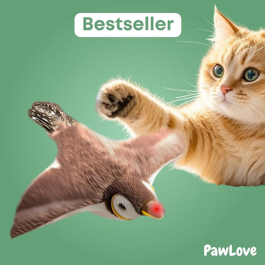 PawLove™ - Birdie Chase Toy