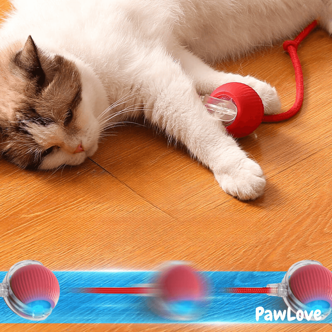 PawLove™ - Interactive cat ball