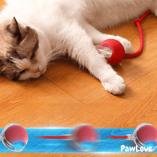 PawLove™ - Interactive cat ball