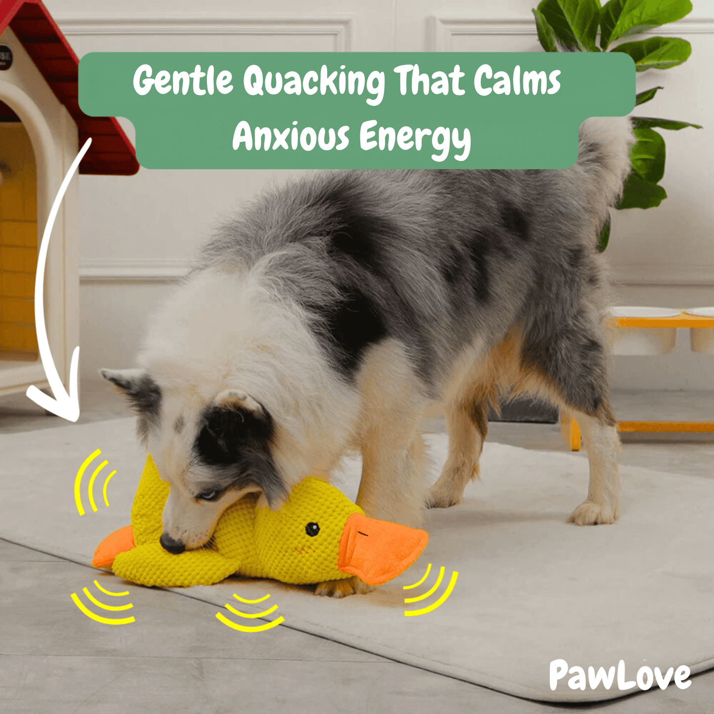 Paw Love - Calming Duck