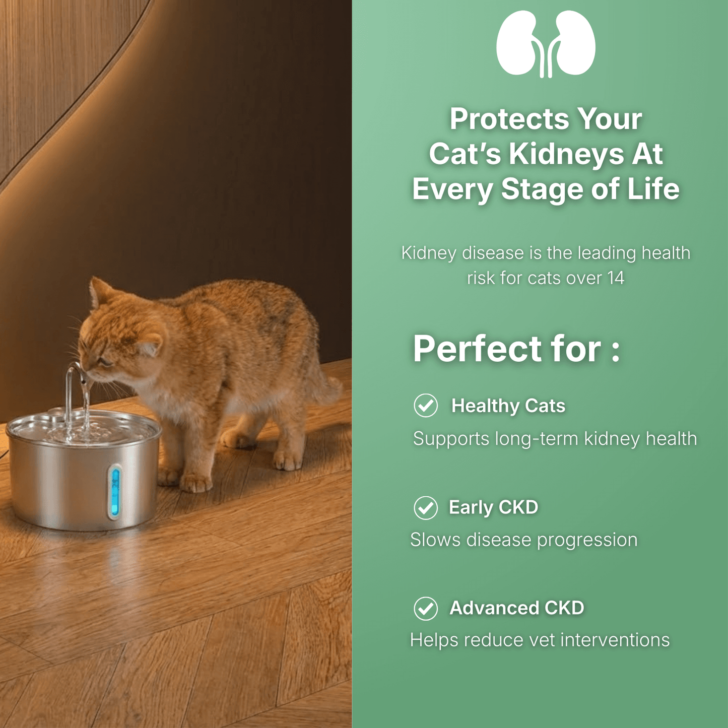 PawLove - Cat Water Fountain I