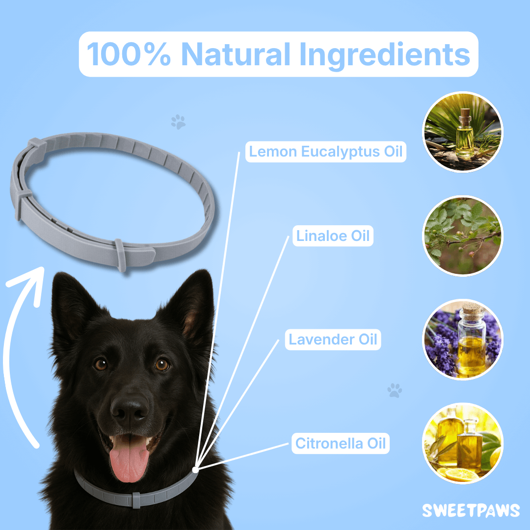 SweetPaws - Natural tick and flea protection collar