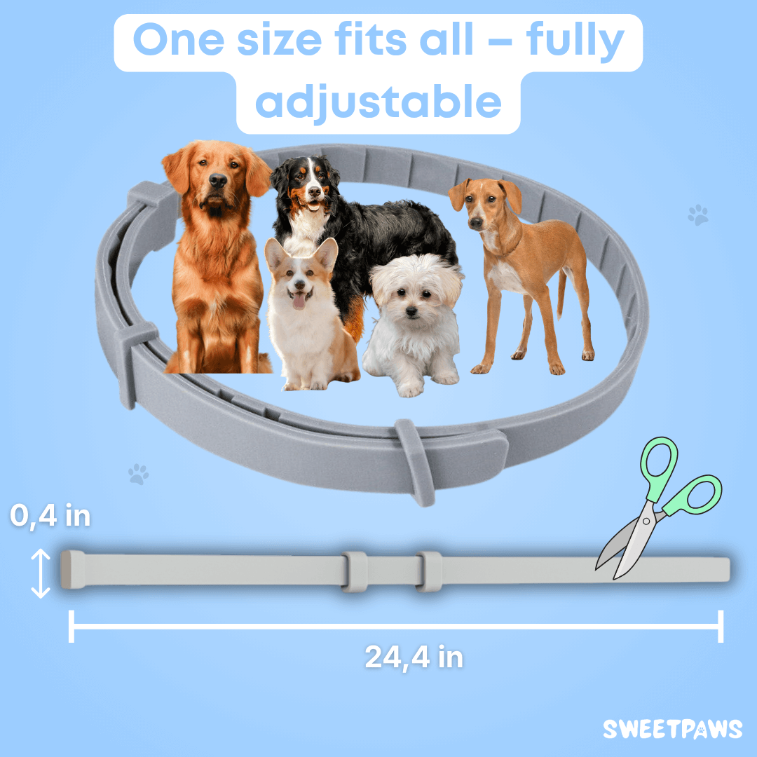 SweetPaws - Natural tick and flea protection collar