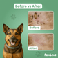PawLove™ - Natural tick and flea protection collar