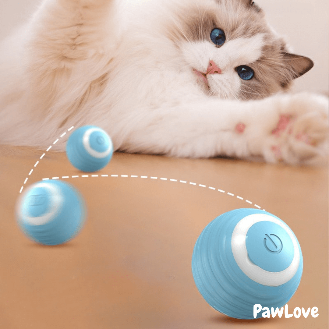 PawLove™ - Interactive cue ball