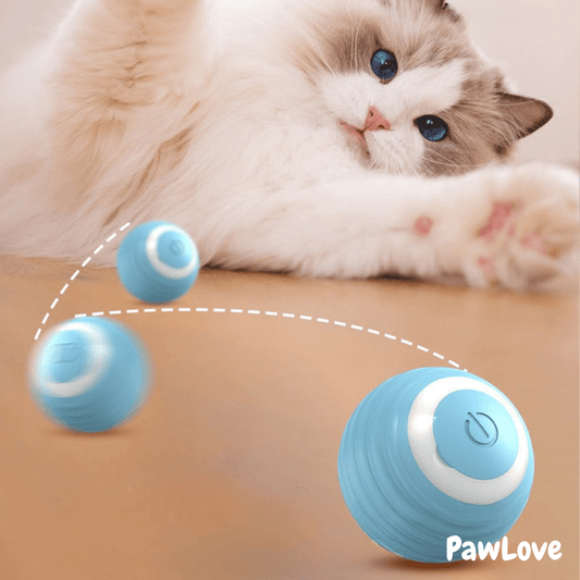 PawLove™ - Interactive cue ball