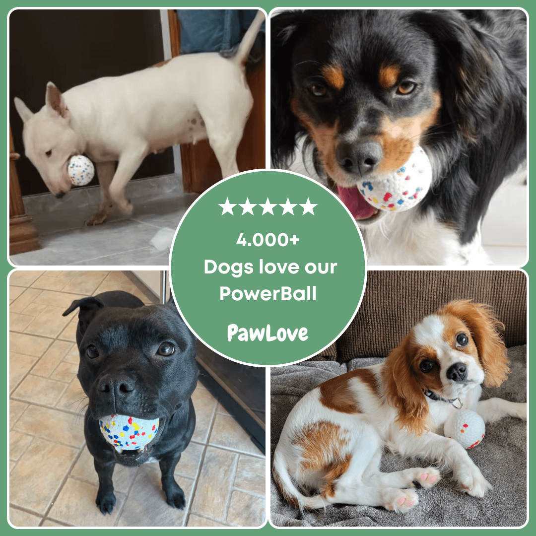 PawLove™ - PowerBall