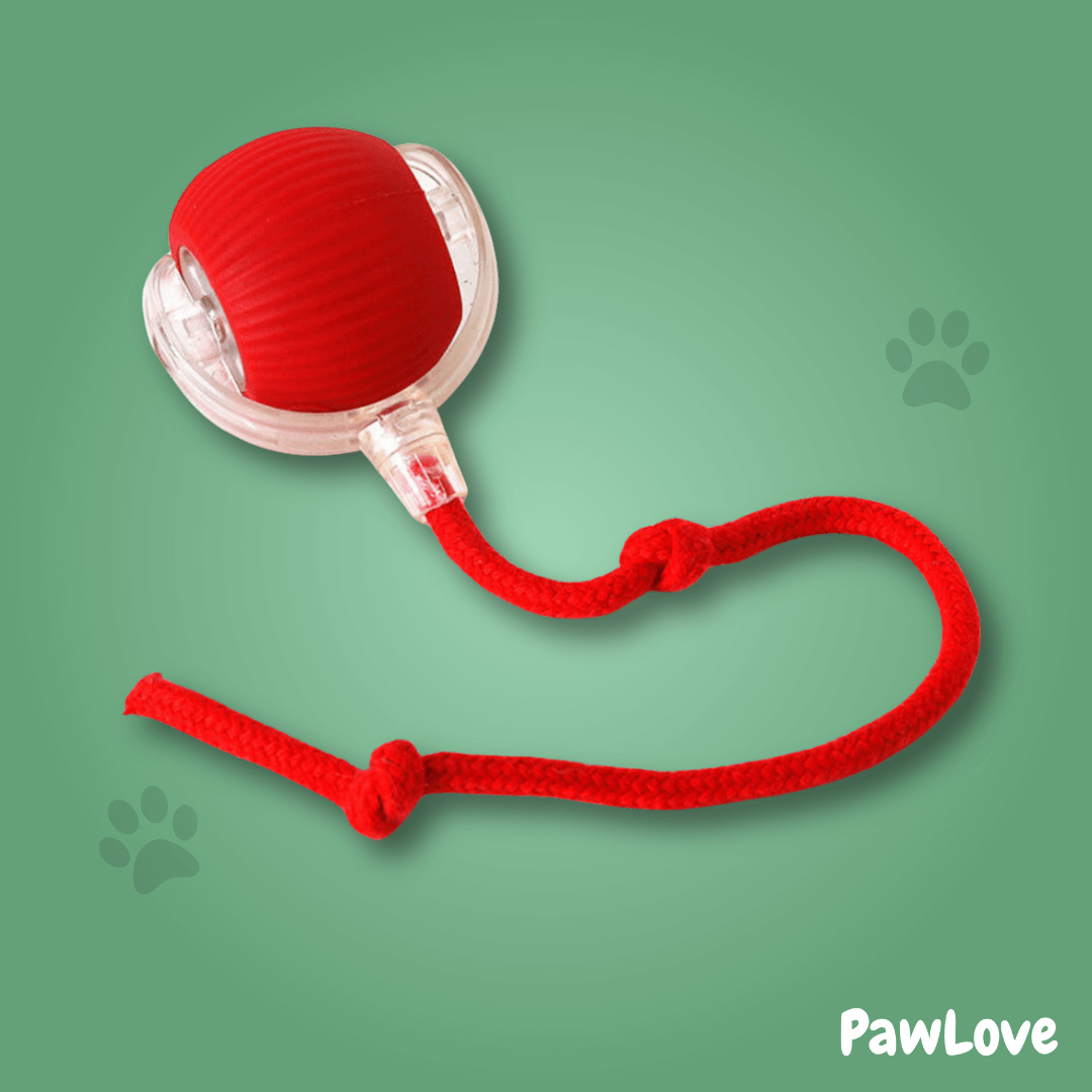 PawLove™ - Interactive cat ball