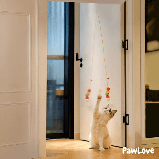 PawLove™ - Interactive hunting toy