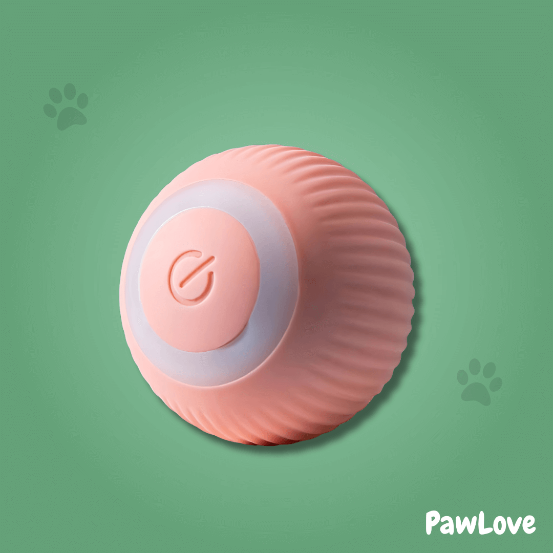 PawLove™ - Interactive cue ball