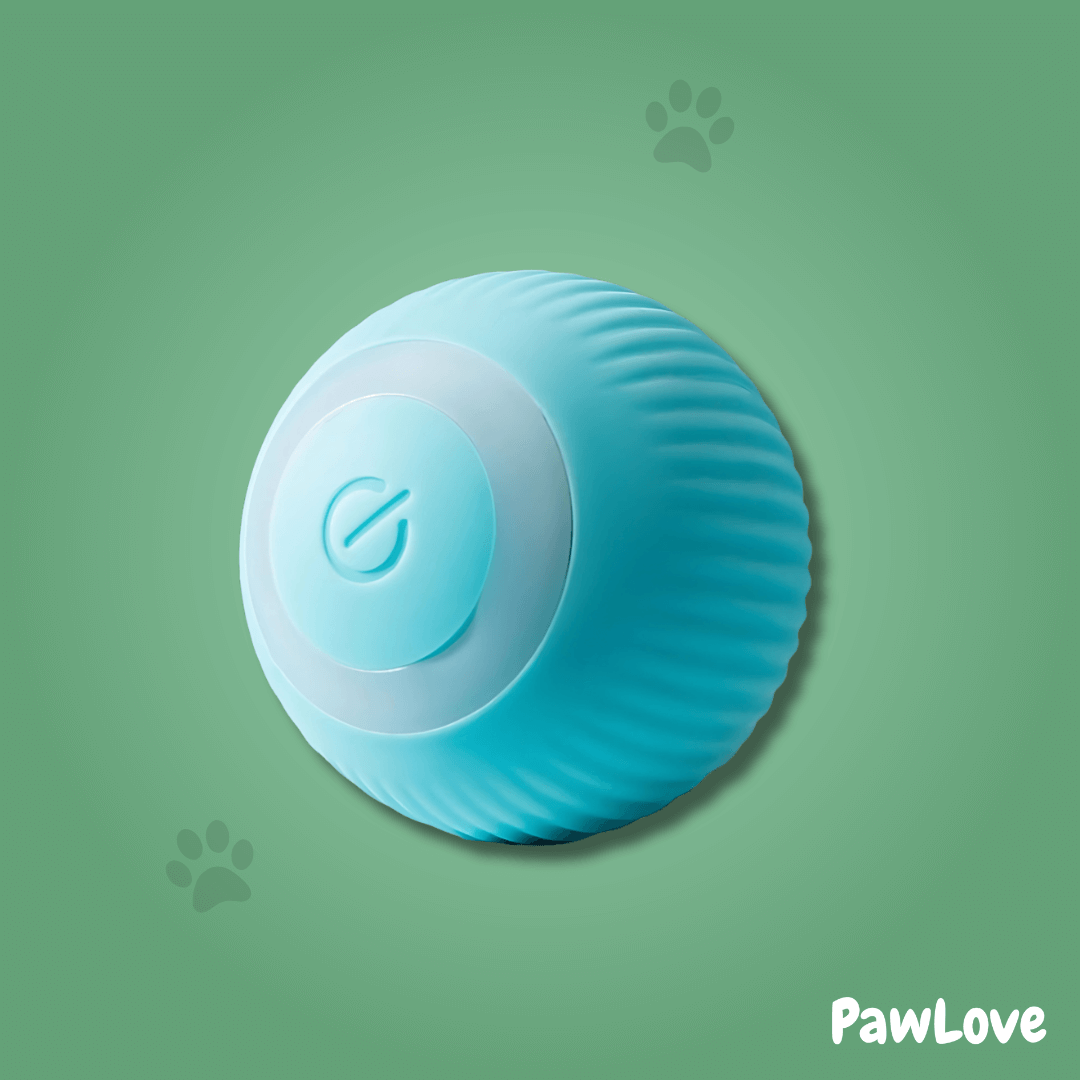 PawLove™ - Interactive cue ball