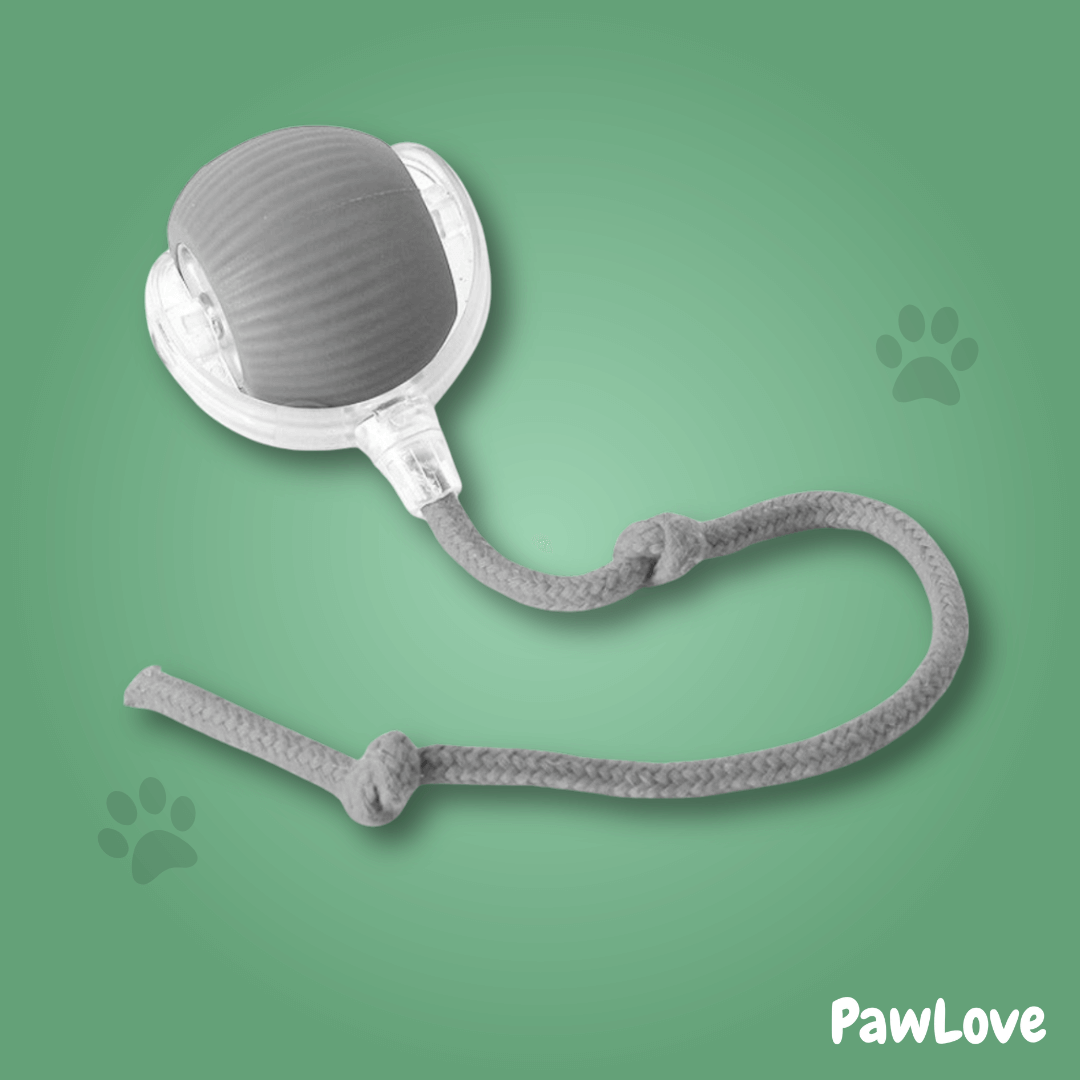 PawLove™ - Interactive cat ball