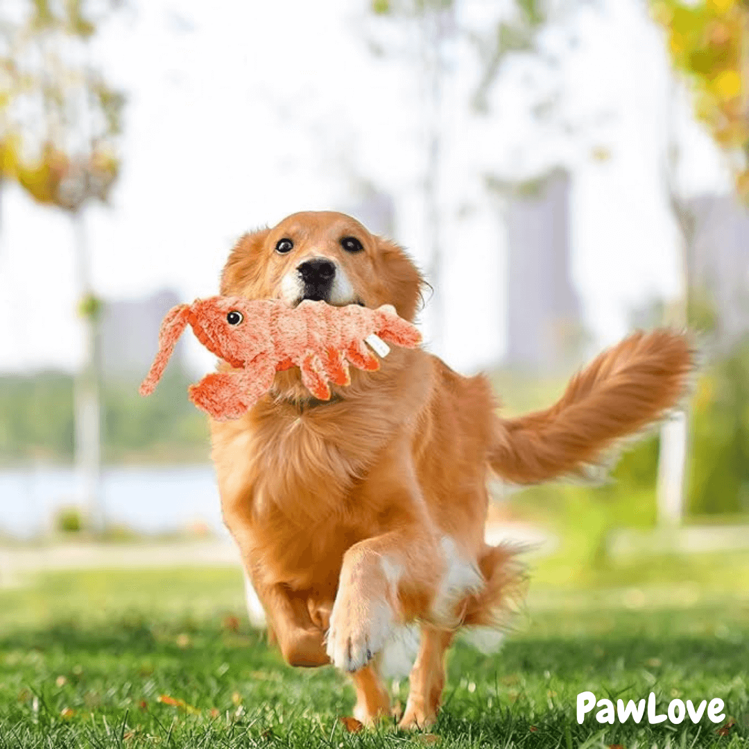 PawLove™ - Floppy Lobster