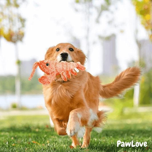 PawLove™ - Floppy Lobster