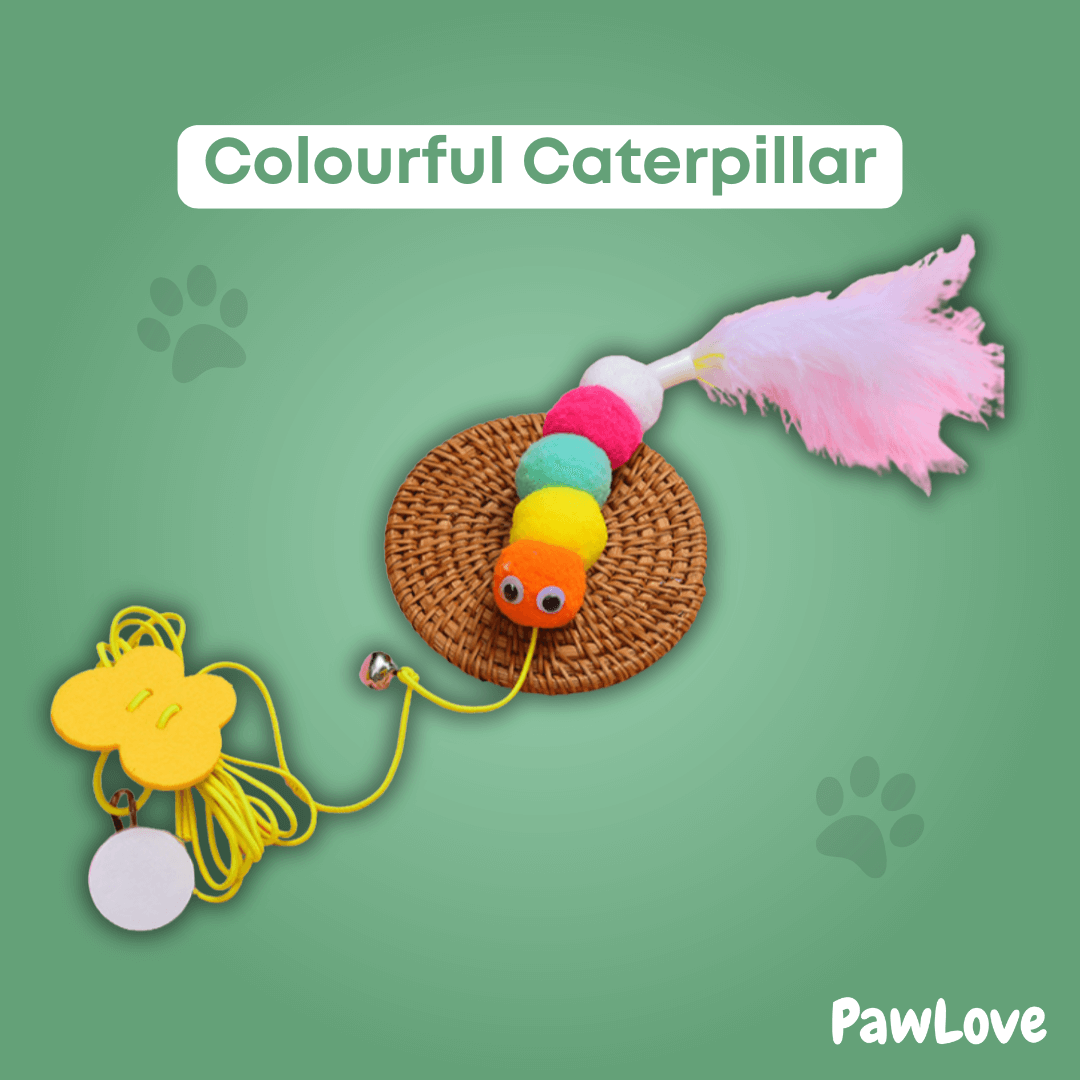 PawLove™ - Interactive hunting toy