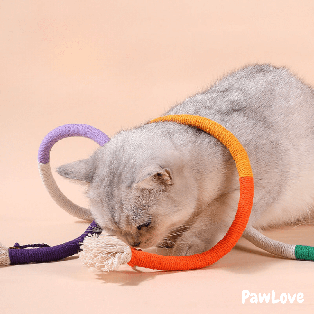 Interactive Chewing Rope with  Natural Gall Fruit